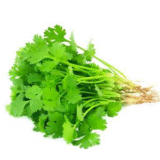 Coriander leaves 120gm-150gm
