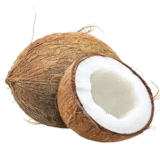 Indian fresh coconut 1pc